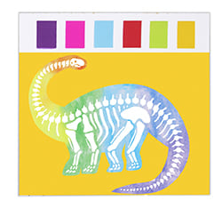 LT206-Paint With Water-Dinosaur